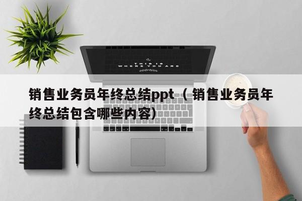 销售业务员年终总结ppt（ 销售业务员年终总结包含哪些内容）